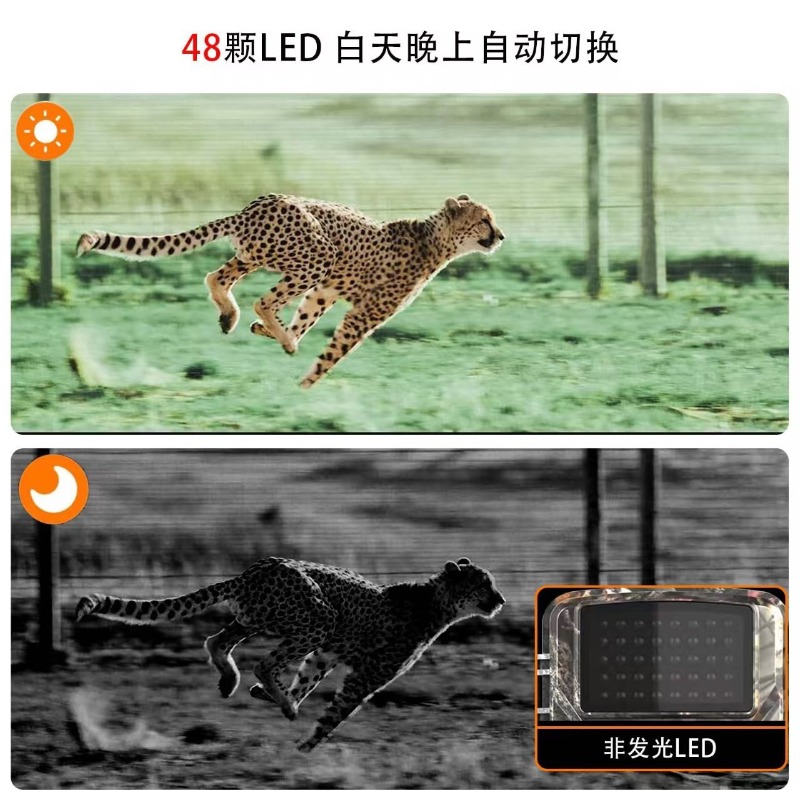 VENTE FLASH DL001 Caméra de ch - Outdoor Hunting Images avis et prix