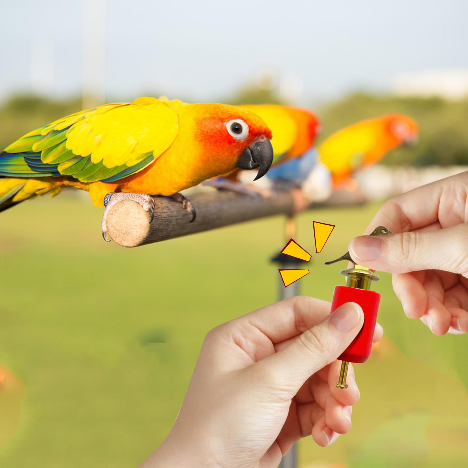 Sifflet d'appel d'oiseaux, cor - Game Call Whistle avis et prix