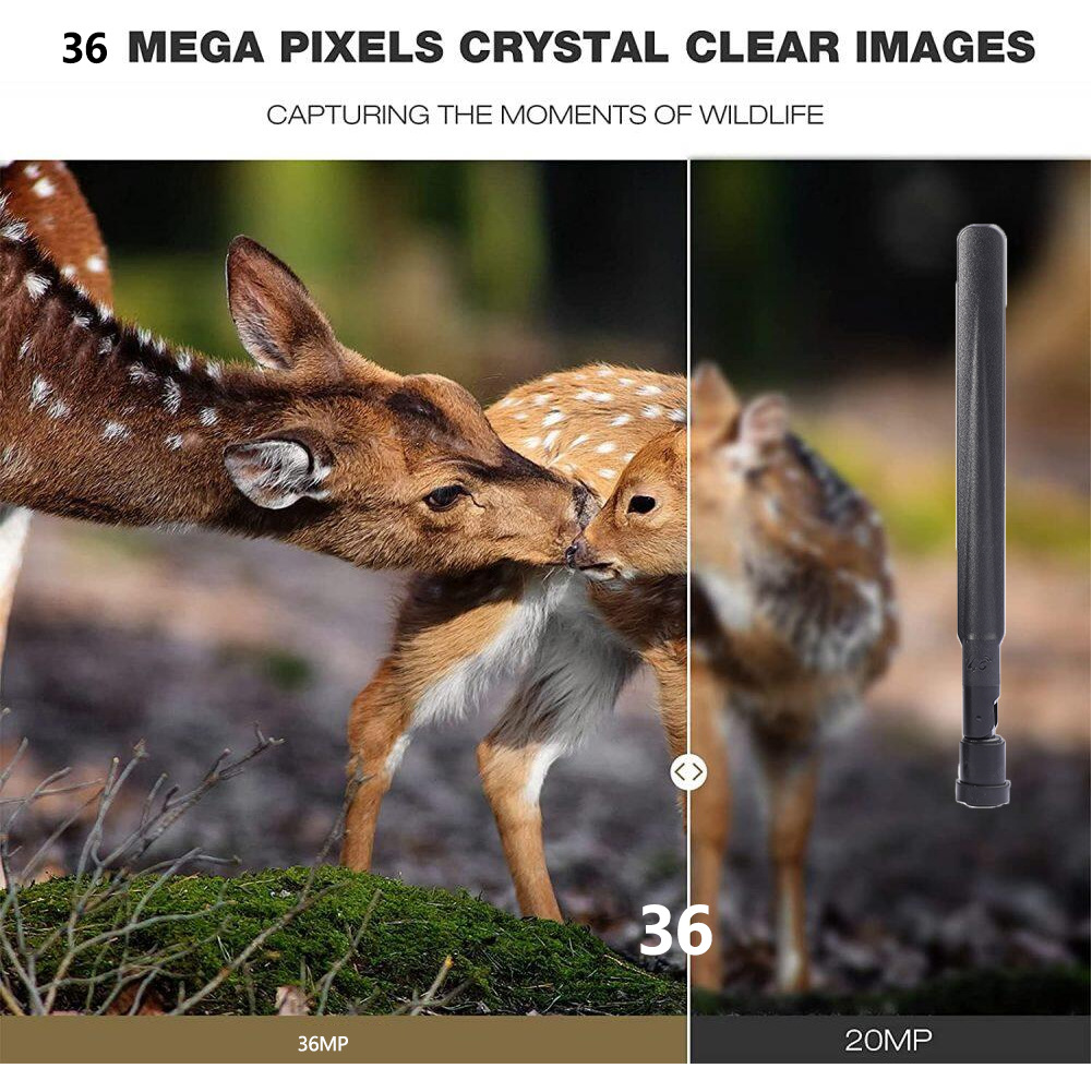 Caméra de chasse extérieure HC - Outdoor Hunting Pictures avis et prix