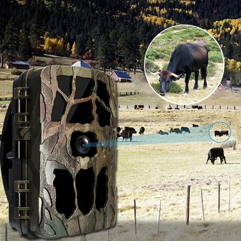 H982 IP66 étanche 4K extérieur - Outdoor Hunting Images avis et prix